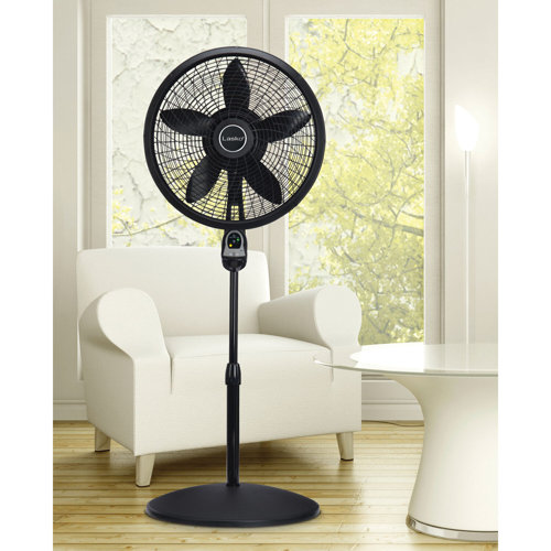 Lasko 54'' Oscillating Pedestal/Standing Fan & Reviews Wayfair